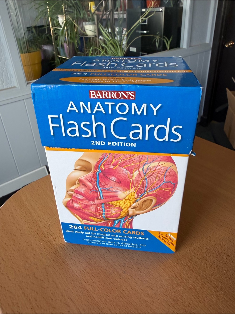 Barron’s Anatomy Flash Cards